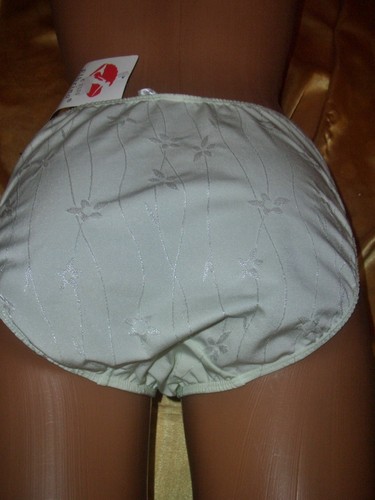 Pin glanz nylon höschen - glanz,